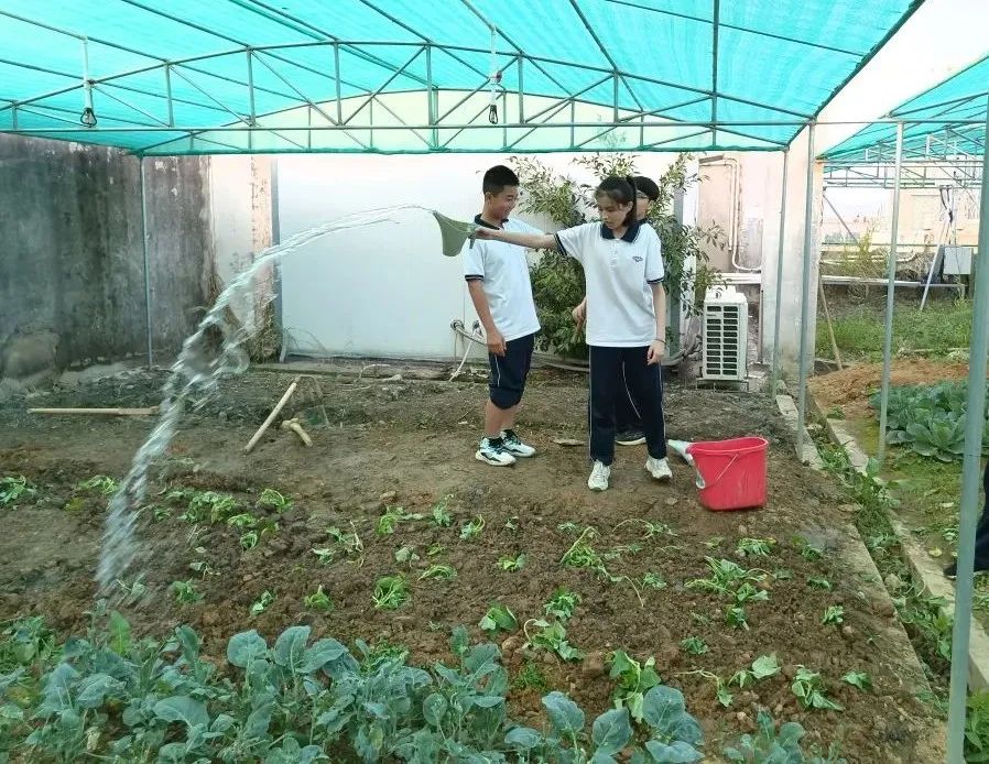 潮州市城基实验中学：劳动教育助力“双减” 促进学生全面发展