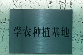 潮州市城基实验中学：劳动教育助力“双减” 促进学生全面发展